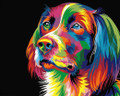 Colourful Dog
