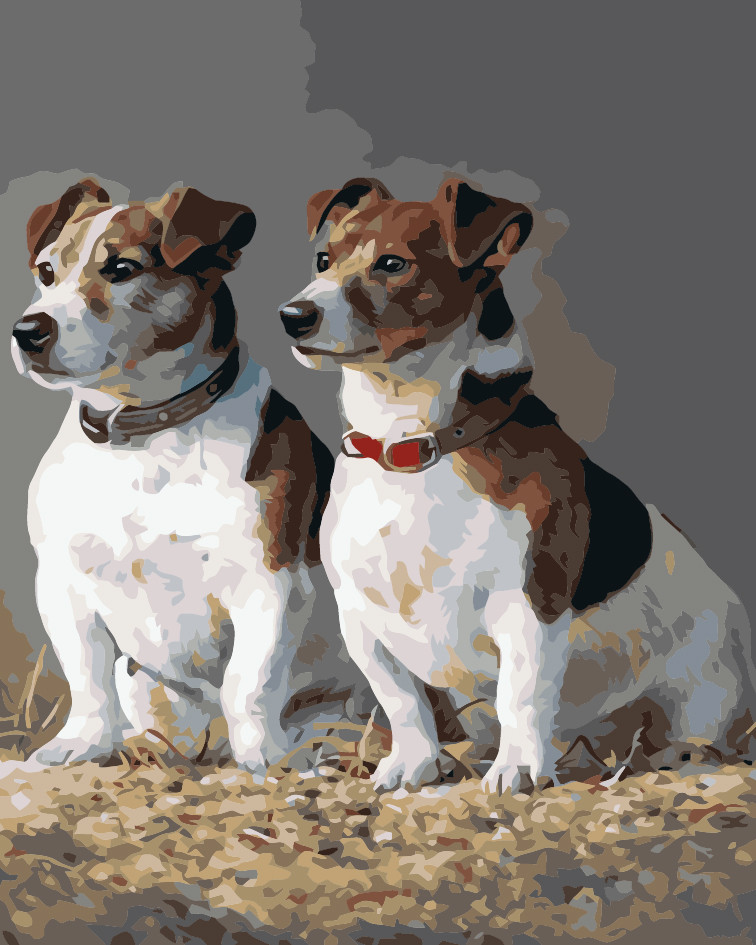Painting by Numbers 40x50cm Jack Russell
