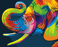 Colourful Elephant