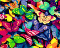 Colourful Butterflies