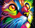colourful cat