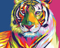 Colourful Tigress
