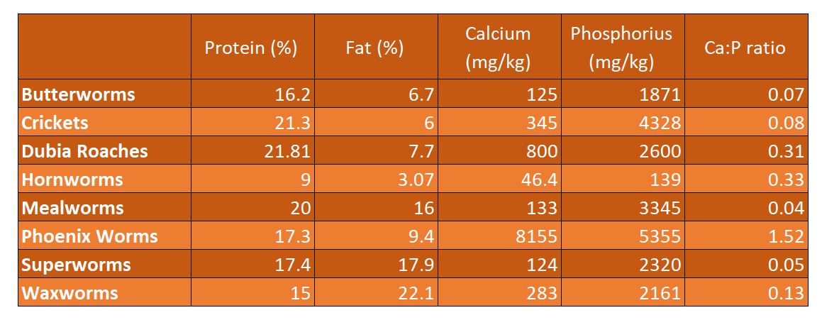 Nutritional Content of Feeders