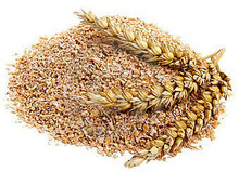 5 Pounds Bran /Arrives in 4 Business Days - Rainbow Mealworms