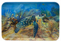 Turtle Garden melamine tray large.