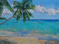 West Coast Palm by Sue Trew