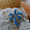 Palm pendant made of sterling silver and blue opal.  
