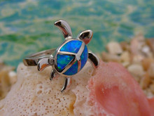 Ring Turtle single