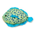 Blink the peacock flounder.