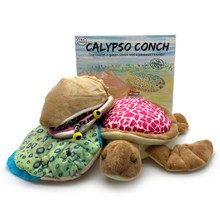 The Calypso Conch family including the book and the main characters.