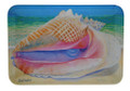 A dish with a queen conch design.