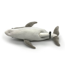 Dart is going to be born!