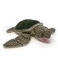 Gus the green turtle from the book Turtle Trips.