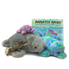The Manatee Magic book and toys of all the main characters. 