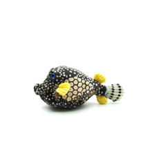Dot the boxfish from the side.