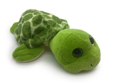 A mini sized sea turtle.