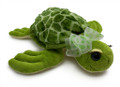 A turtle with eye lashes.