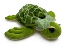 A turtle with eye lashes.