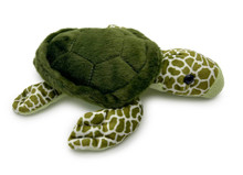 A cute little turtle.
