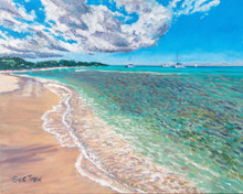 Paynes Bay on the west coast of Barbados.