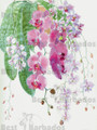 Orchid Flower Print