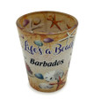 Barbados Shot glass with shells