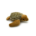 Tilli the Turtle.