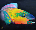Parrot Fish Splendour by Holly Trew