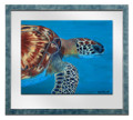 Hawksbill Turtle Head by Sue Trew
