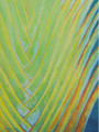 Travellers Palm by Sue Trew