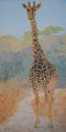 Giraffe Camouflage by Sue Trew