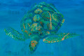 Green Turtle Advancing by Sue Trew