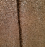 Rustic Mocha - Buffalo Leather Sides