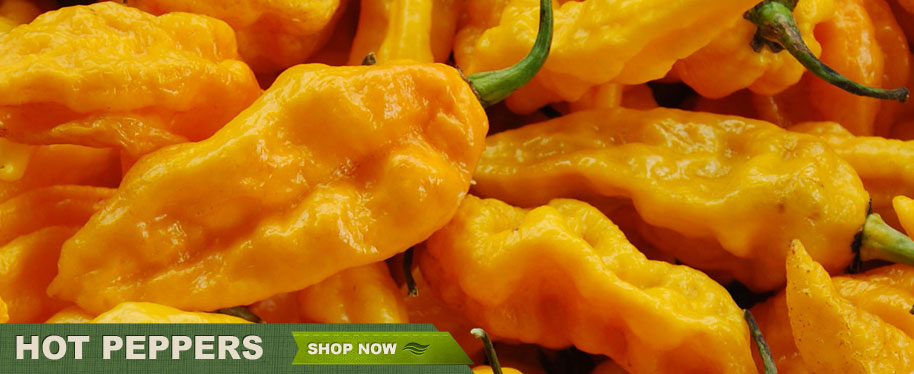 Hot Peppers - Shop Now