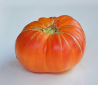 Peppermint Tomato