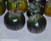 Lao Purple Stripe Eggplant