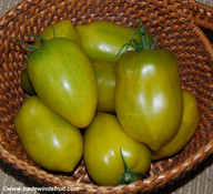 Chile Verde Tomato