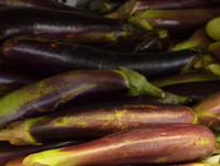 Waimanalo Long Eggplant