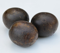 Passiflora edulis - Passion Fruit 'Black'