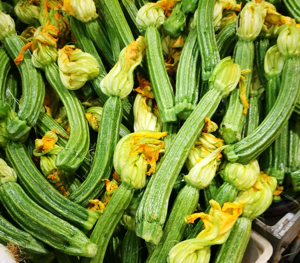 Zucchini, Long Florentine Seeds