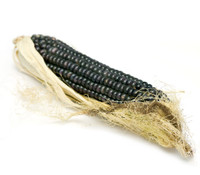 Black Mexican Sweet Corn