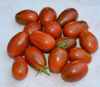 Tsunshigo Chinese Purple Tomato