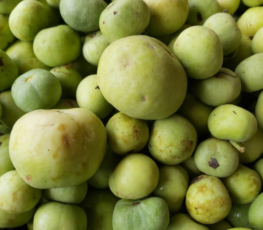 Tinda Gourd Seeds