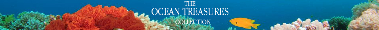 1-the-ocean-treasures-collection-from-artune-online-jewelry.jpg