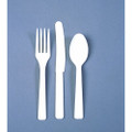 Plastic Cutlery - Medium-Duty - Teaspoon, NSN 7340-01-438-7391