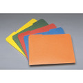 Inner File Folder - 1/3 Cut, Letter Size, Red, Blue, Yellow, Green and Orange, NSN 7530-01-483-9999