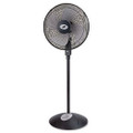 Remote Control Pedestal Fan,16", Oscillating, Metal, 17 3/5w x 16 2/5d x 49h