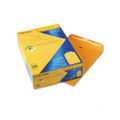 Clasp Envelopes, 10 x 13, 28lb, Brown Kraft, 100/box