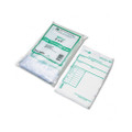 Cash Transmittal Bags w/Printed Info Block, 6 x 9, Clear, 100 bags per pack