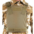 Blackhawk: Low Vis Plate Carrier holds 32HP12 Hard Plate (32PC12BK, 32PC12CT, 32PC12OD)